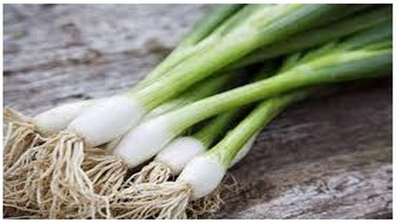 فوائد أكل البصل الأخضر لصحة الجهاز الهضمي و المناعه