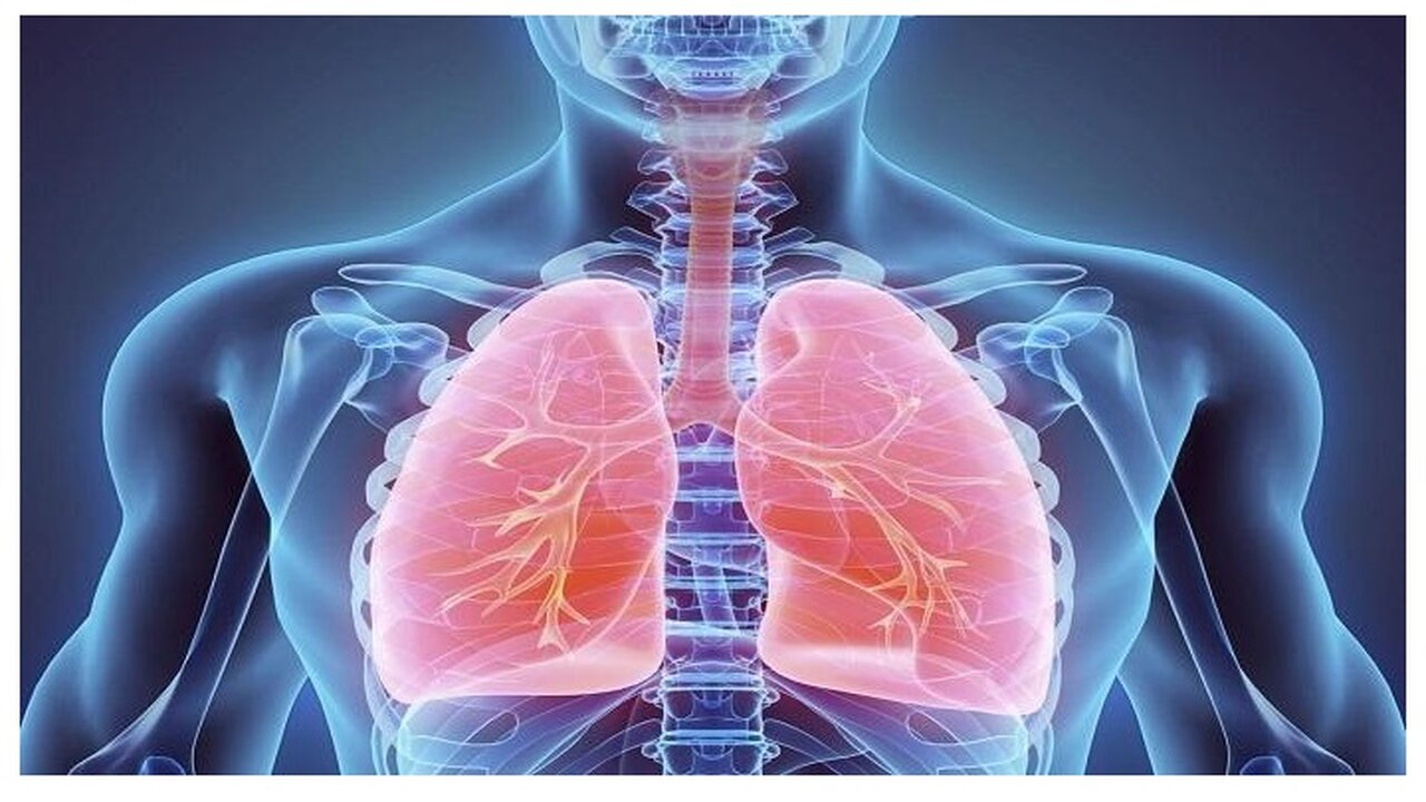اعراض تدل على أصابة الجهاز التنفسى بالتلوث وطرق الوقاية 