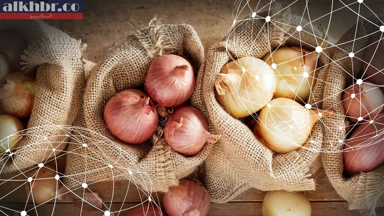 Saudi Arabia: Onion Supply Assured Amid Rising Prices and Issues