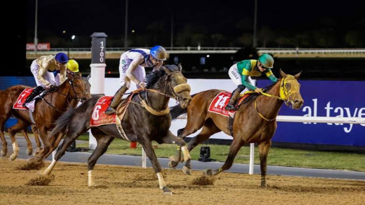 انطلاق النسخة الـ 28 لـ « كأس دبي العالمي للخيول » في ميدان اليوم