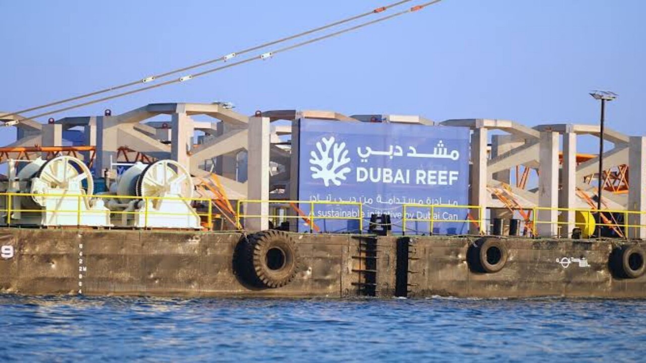 تدشين مشروع «مشدّ دبي» بإطلاق دفعة من وحدات الشعاب البحرية وإنماء الحياة البحريه